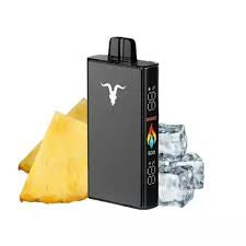 Pineapple Ice - ignite 25.000
