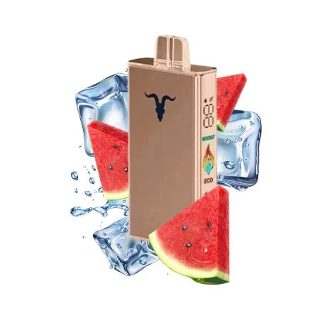 Watermelon ice